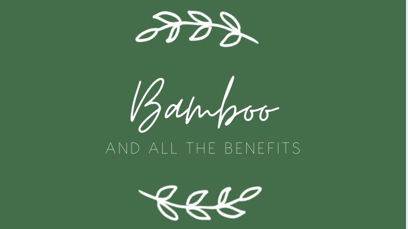 White writing on a green background. The writing says "Bamboo and all the benefits". There are line drawings above and below of a sprig of greenery