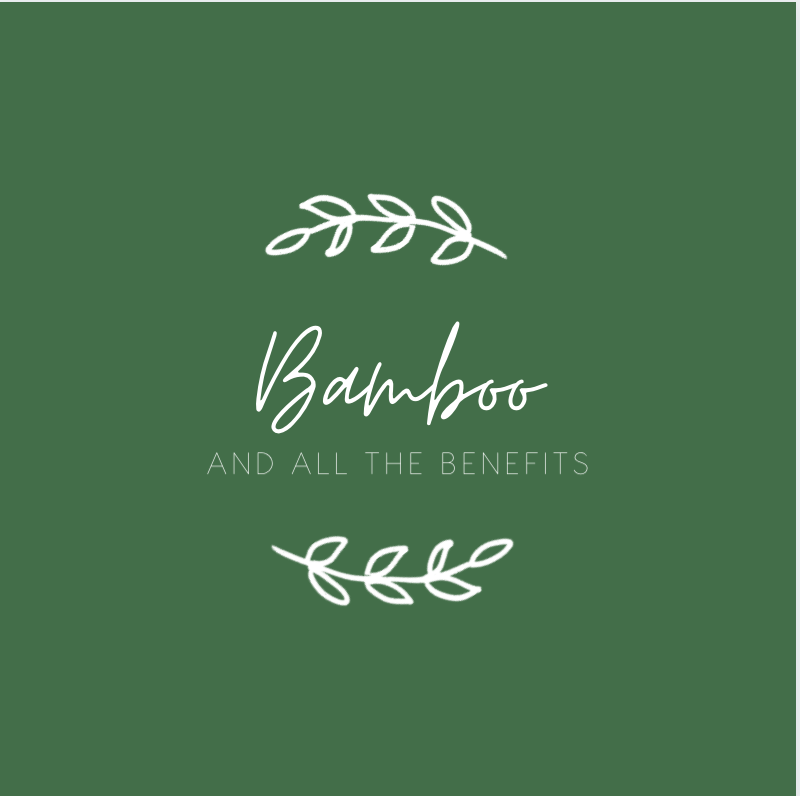 White writing on a green background. The writing says "Bamboo and all the benefits". There are line drawings above and below of a sprig of greenery